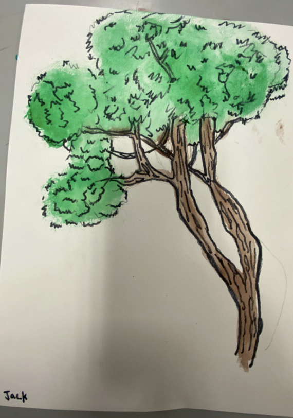 Hand-drawn tree with a brown trunk and lush green foliage on white paper.