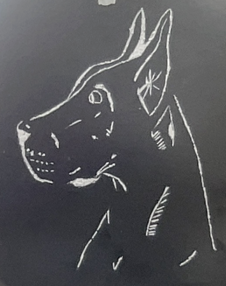 White chalk outline of a dog's head and neck on a blackboard, showing detailed ears and facial features in profile.
