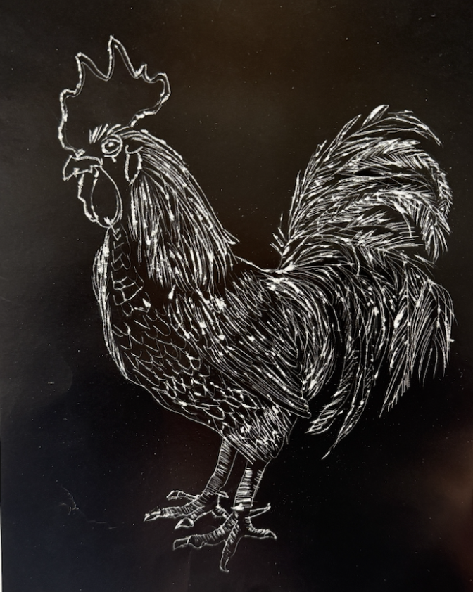 Detailed white line drawing of a rooster with intricate feather patterns on a black background.