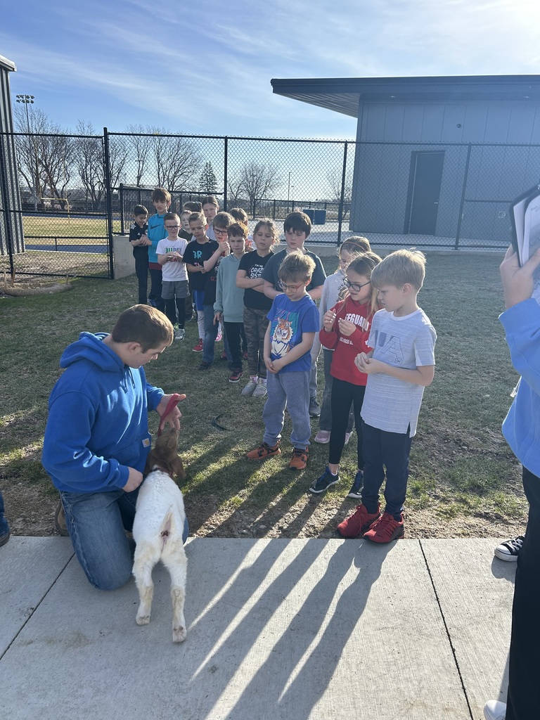 A group of children standing in line outdoors watching a man in a blue hoodie interact with a small white goat on a sunny day.