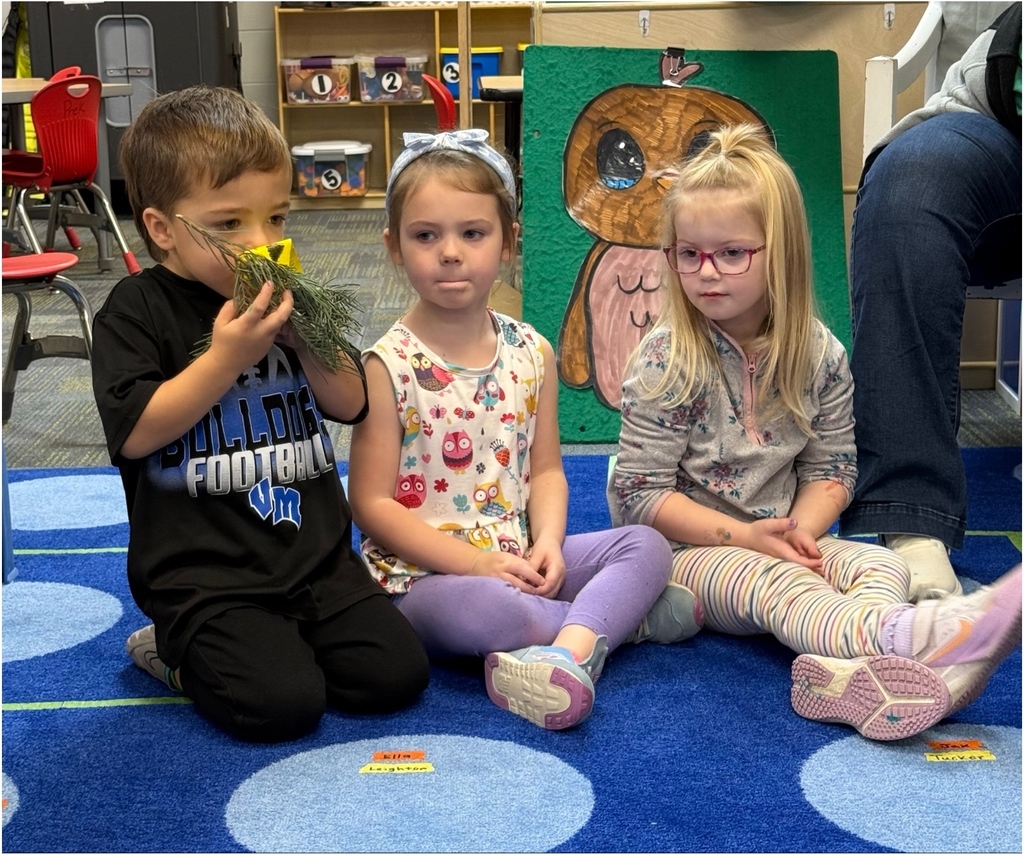 Three children sit on a classroom rug; one smells a bundle of pine while the others watch, exploring natural materials.