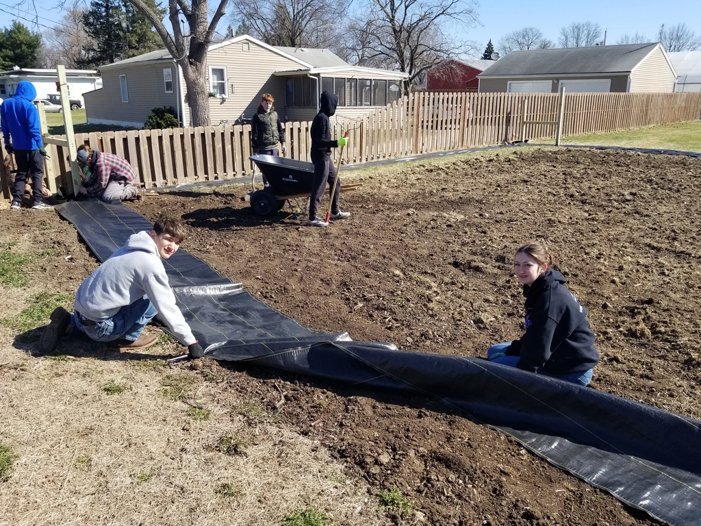 Group of people laying black plastic sheeting on a large garden plot in a residential backyard on a sunny day.
