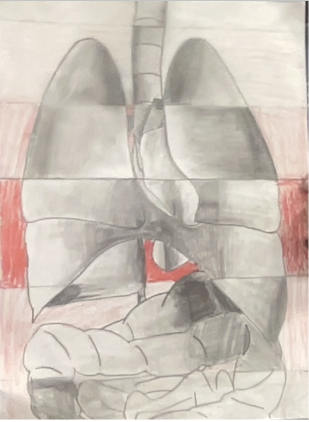 Shaded drawing of human lungs and trachea over a red grid-like background, with stomach and organs below.