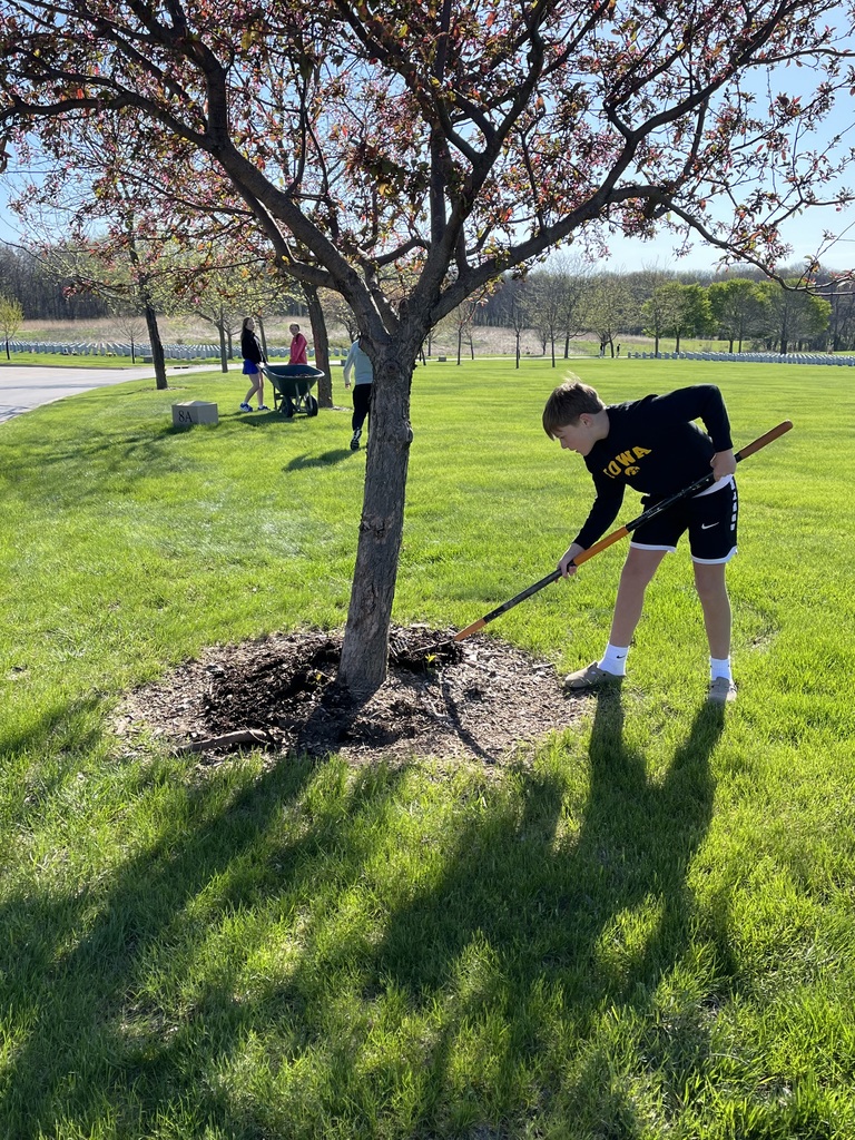 Boy rakes mulch around a small tree while others work in the background on a green lawn with scattered trees.