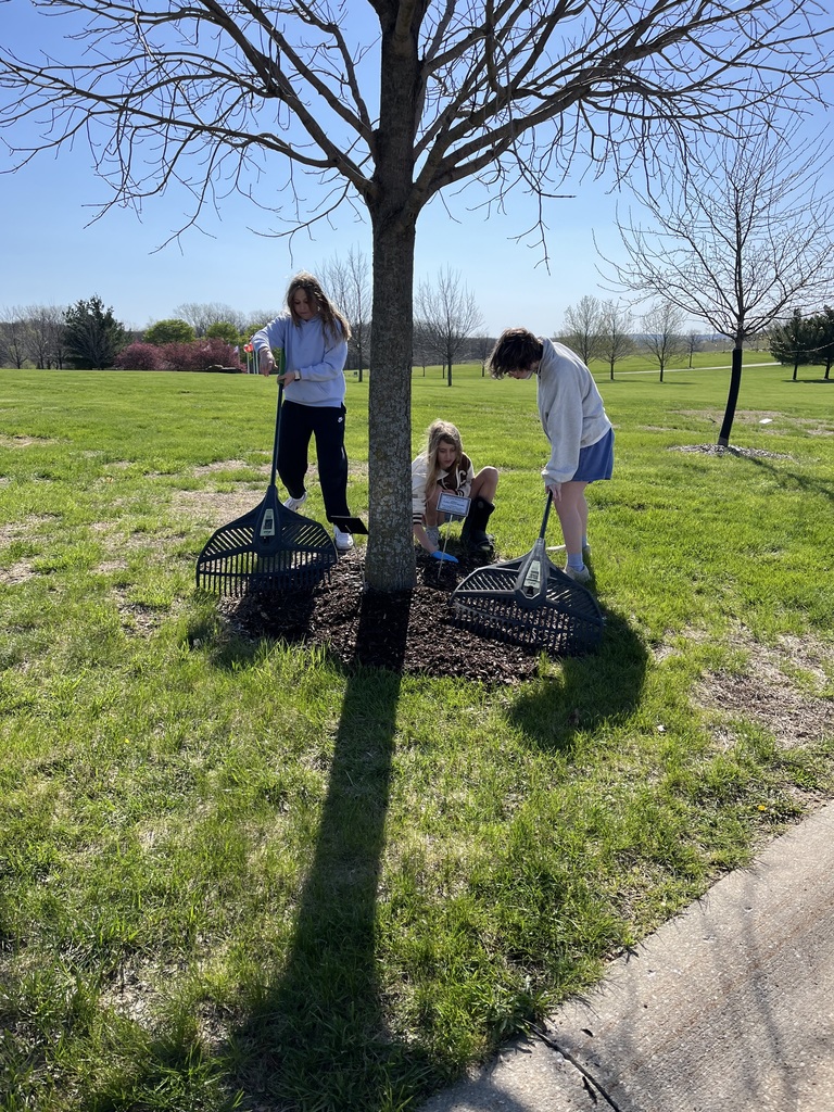 Three students rake and spread fresh mulch around the base of a tree, focusing on tidying the soil ring.