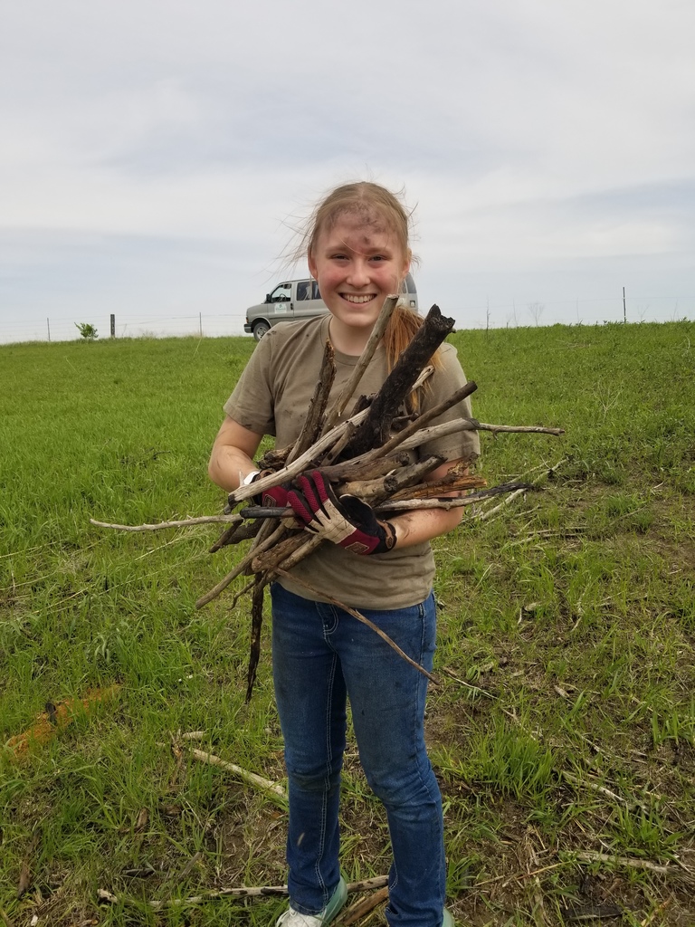 Smiling girl holds an armful of sticks in a grassy field, wearing gloves, with a van and open sky behind her.