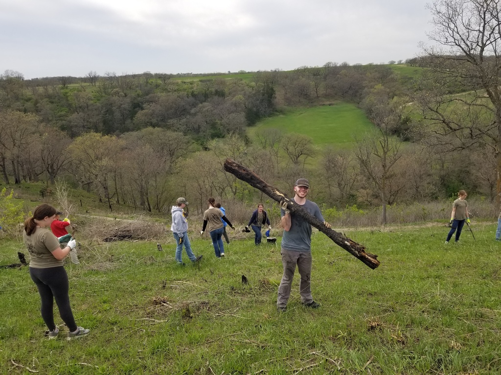 Group of people spread across a hillside, carrying logs and branches while working together in a green valley.