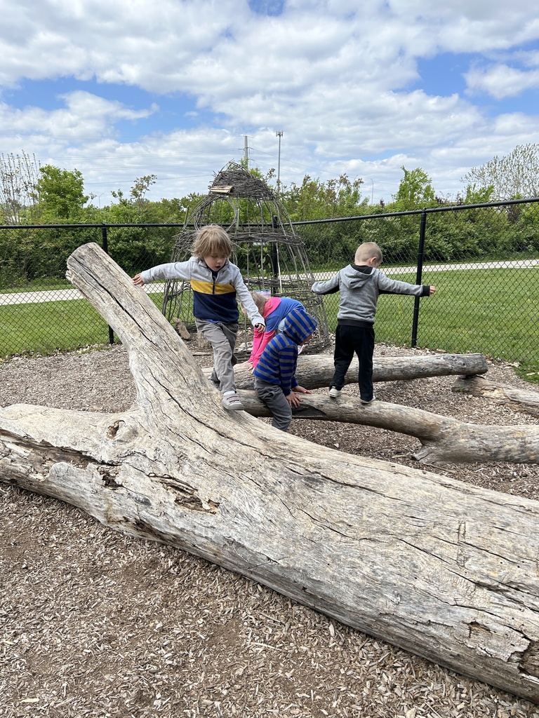 Children balance and climb on large fallen logs in an outdoor nature play area under a cloudy sky.