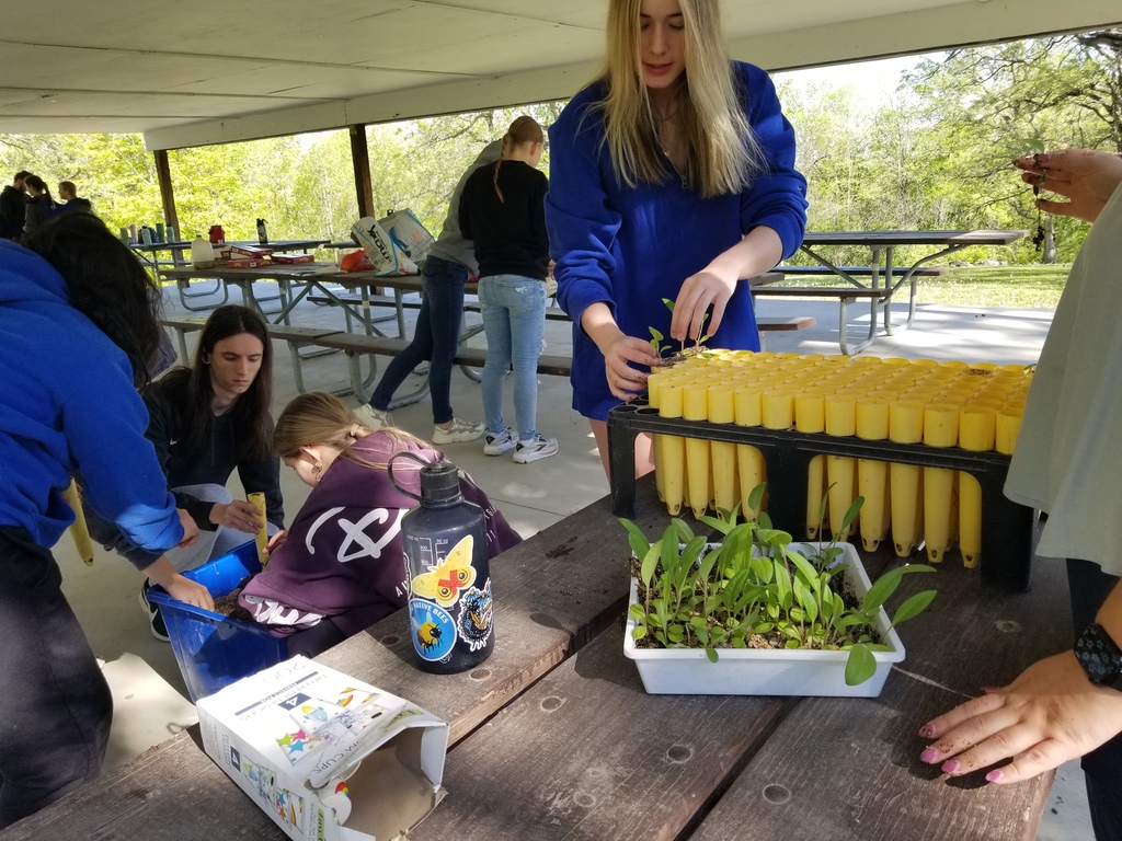 Students plant seedlings in yellow tubes at a park pavilion during an outdoor environmental activity.