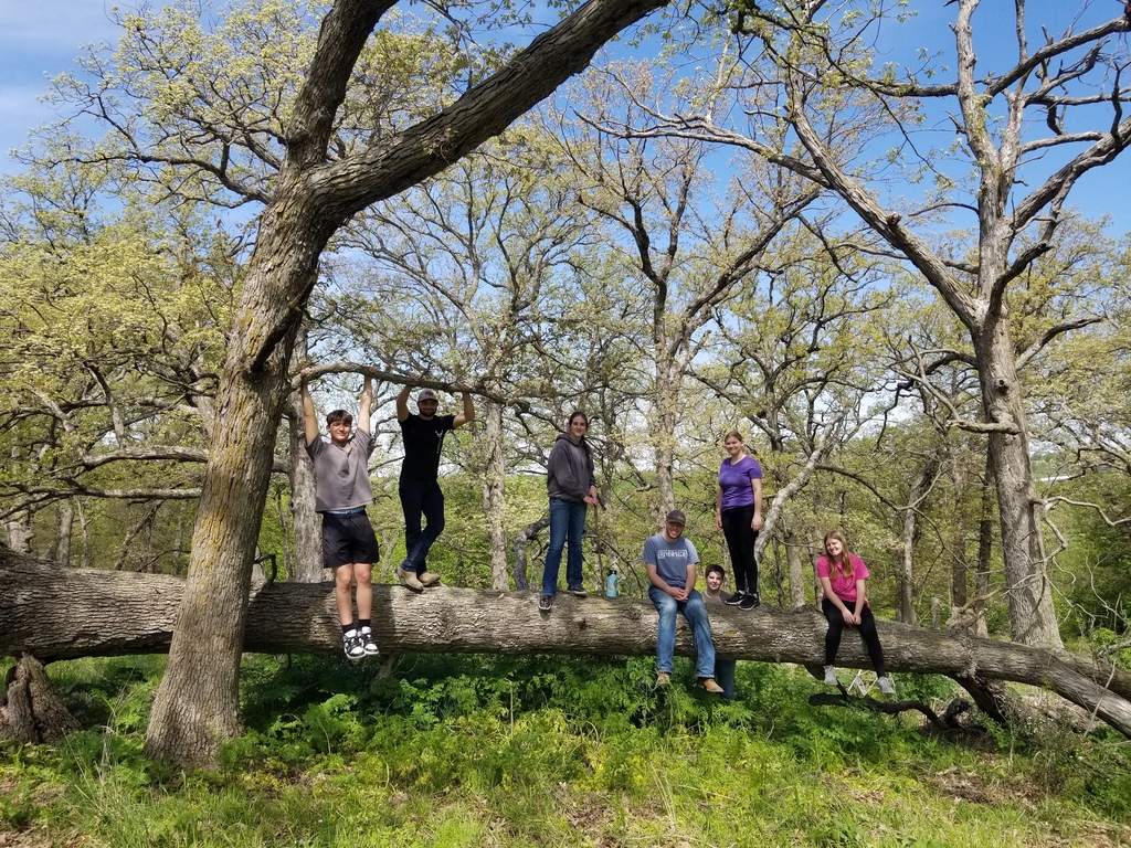 Group of students poses on a large fallen tree trunk in a wooded area filled with spring foliage.