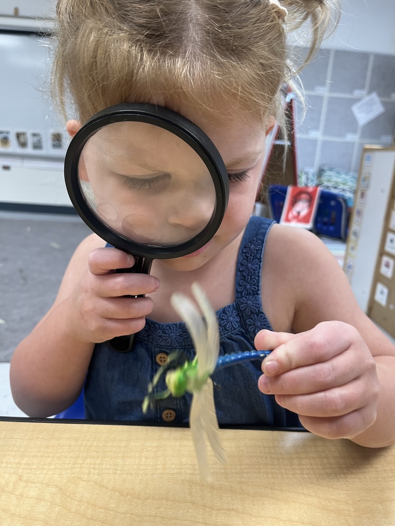Young girl closely examining a small green insect toy with a magnifying glass at a classroom table.