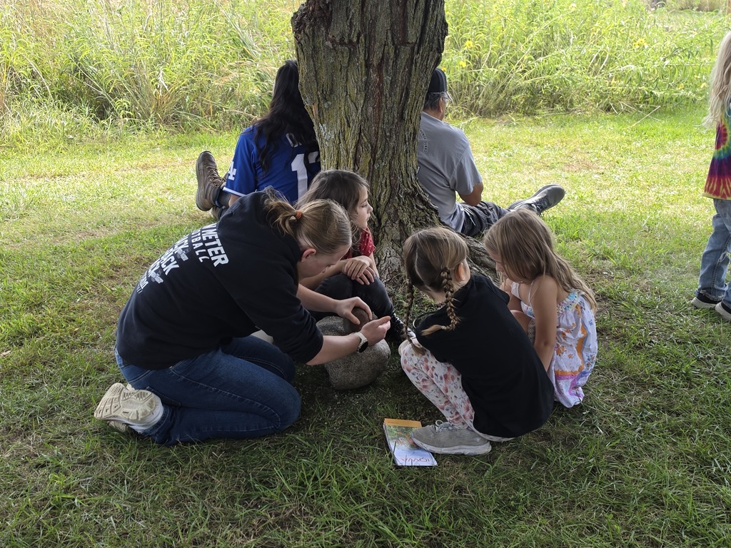 Children and an adult gathered around the base of a tree, closely examining something on the ground in a grassy outdoor area.