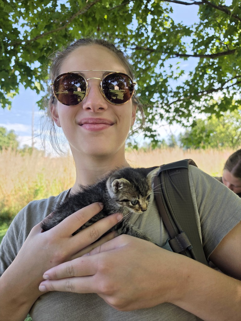 Young woman wearing sunglasses gently holding a small tabby kitten outdoors under leafy trees.