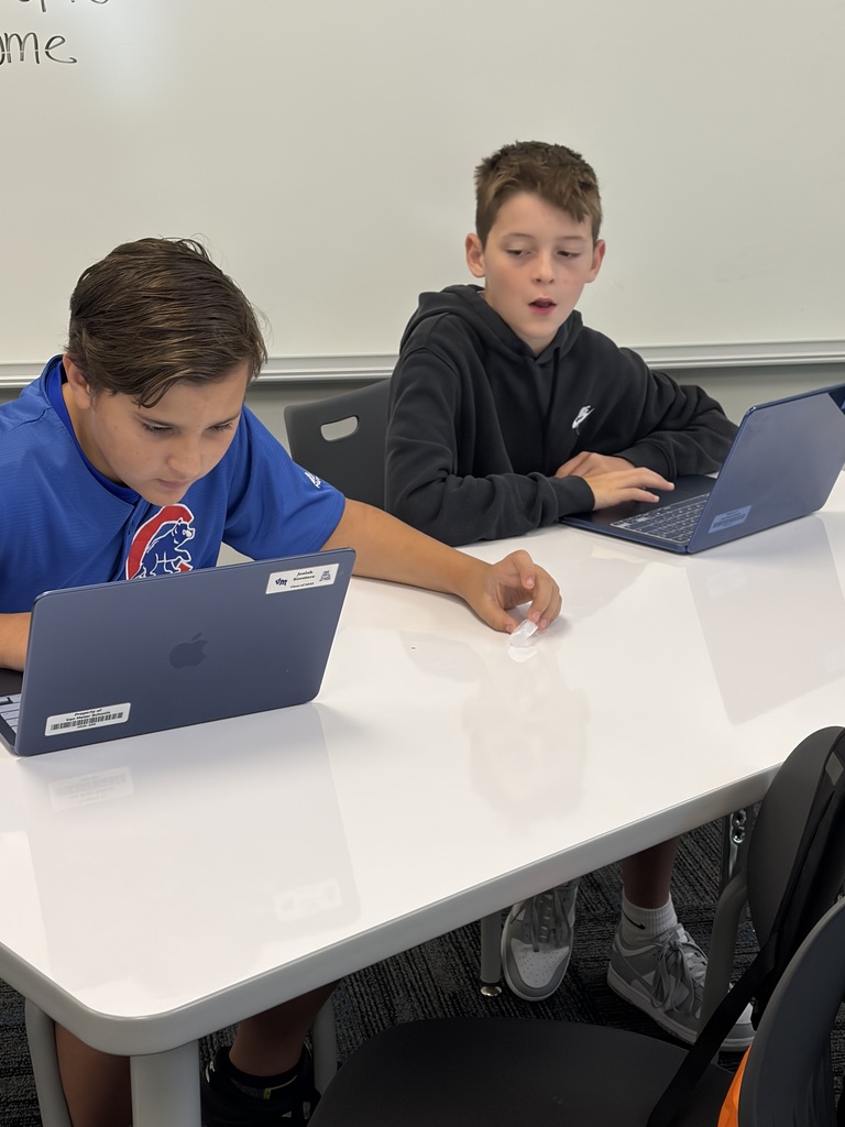 Two boys seated at a white table, each focused on their laptops in a classroom setting with a whiteboard behind them.