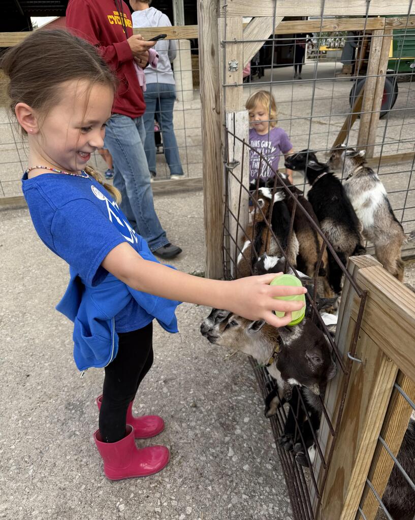 Young girl in pink boots happily feeding baby goats through a wooden fence at a petting zoo.