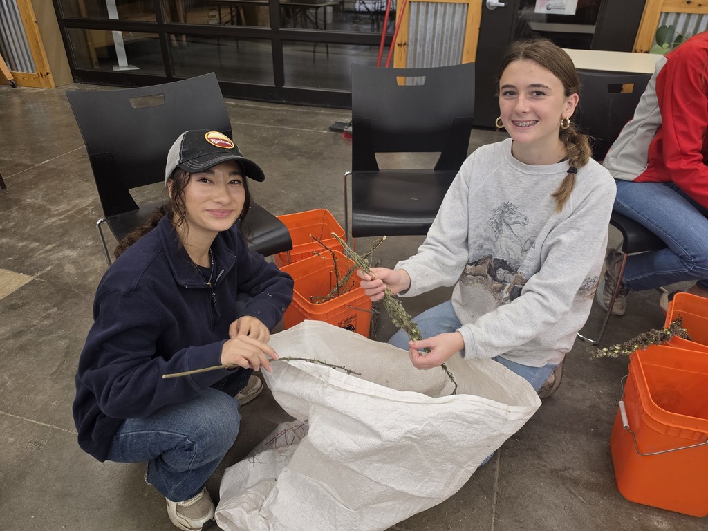 Two young women sitting on the floor indoors, sorting branches into a large white sack with orange buckets nearby.