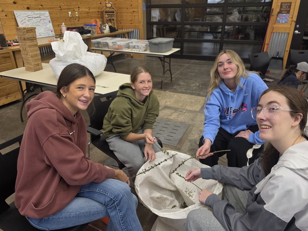 Four young women sitting around a large fabric basket, smiling and engaging in a group activity inside a wooden cabin room.