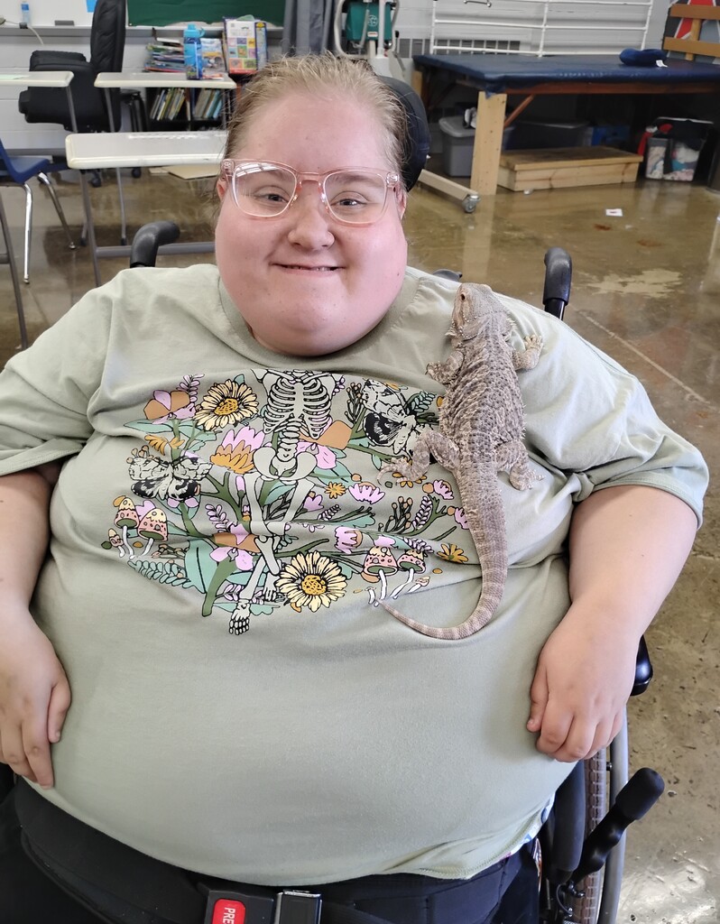 bearded dragon