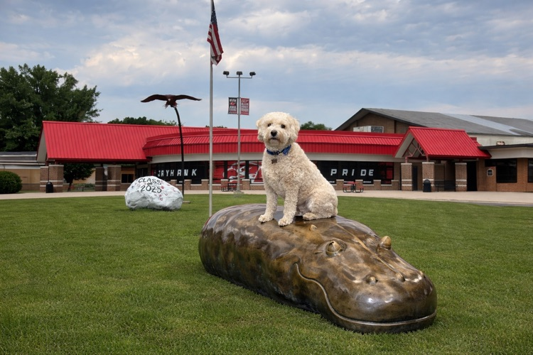 Axl and Westwood mall hippo 