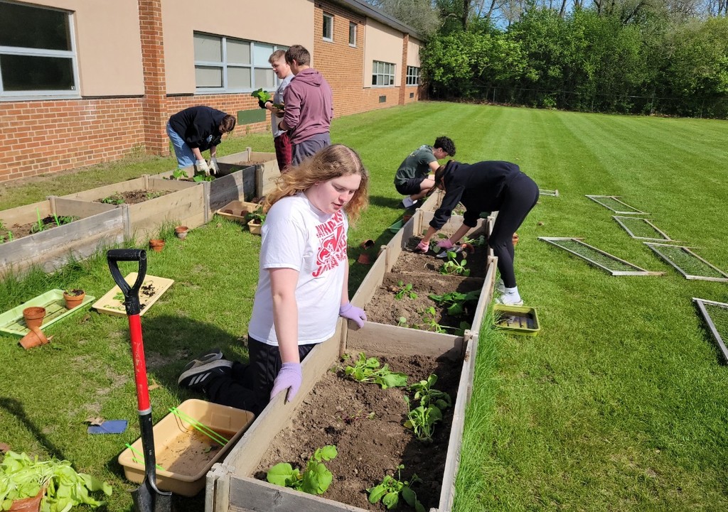 planting