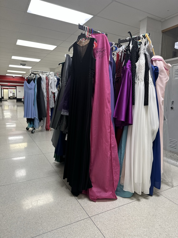 gowns and suits 