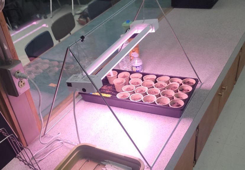 seed starter kit
