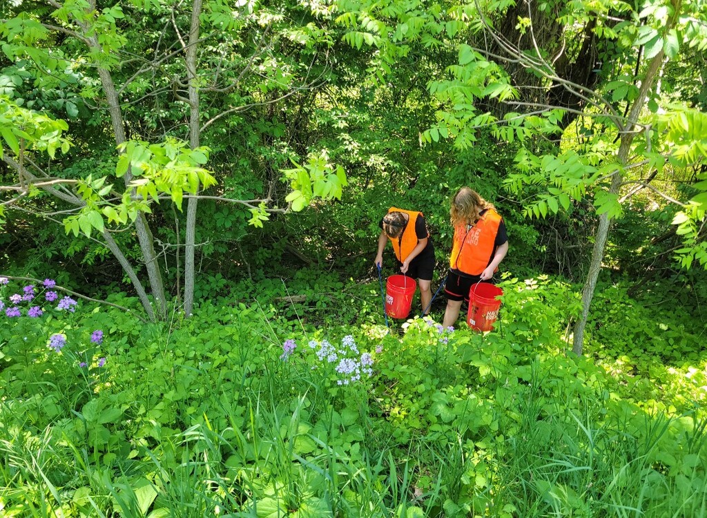 deep in the woods