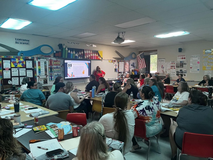 teacher PD