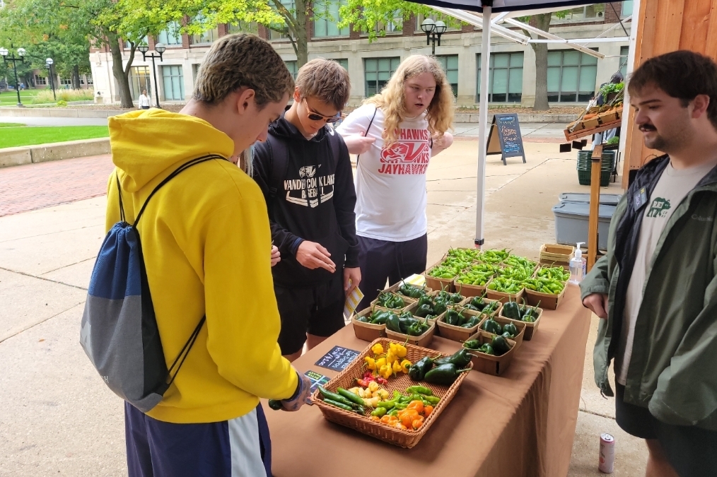 fresh veggies