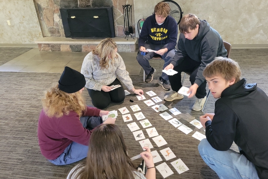 food web game