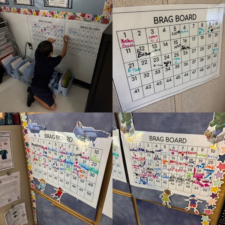 bragboards