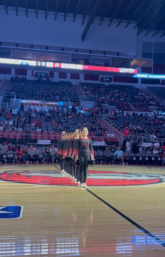 Mini Knightettes at Vipers