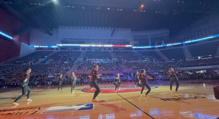 Mini Knightettes at Vipers