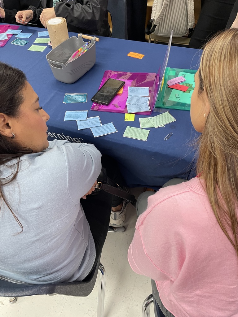 Partners working on card sort