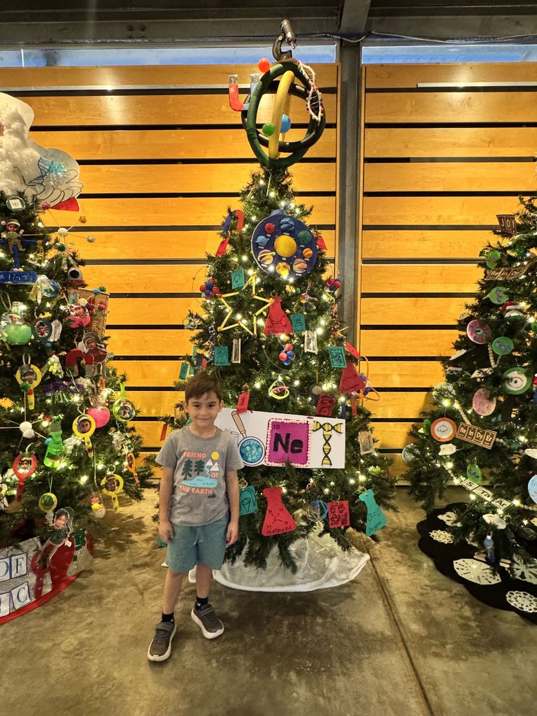 IMAS Christmas Tree Competition