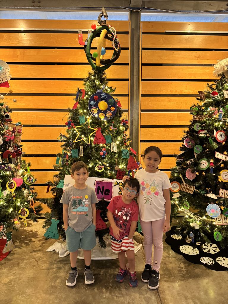 IMAS Christmas Tree Competition