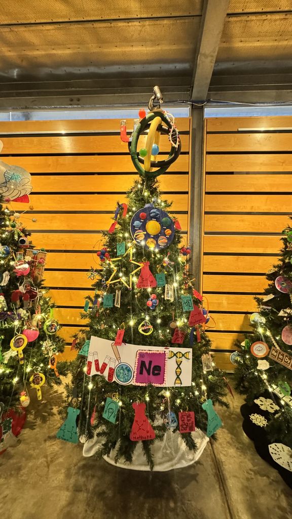 IMAS Christmas Tree Competition