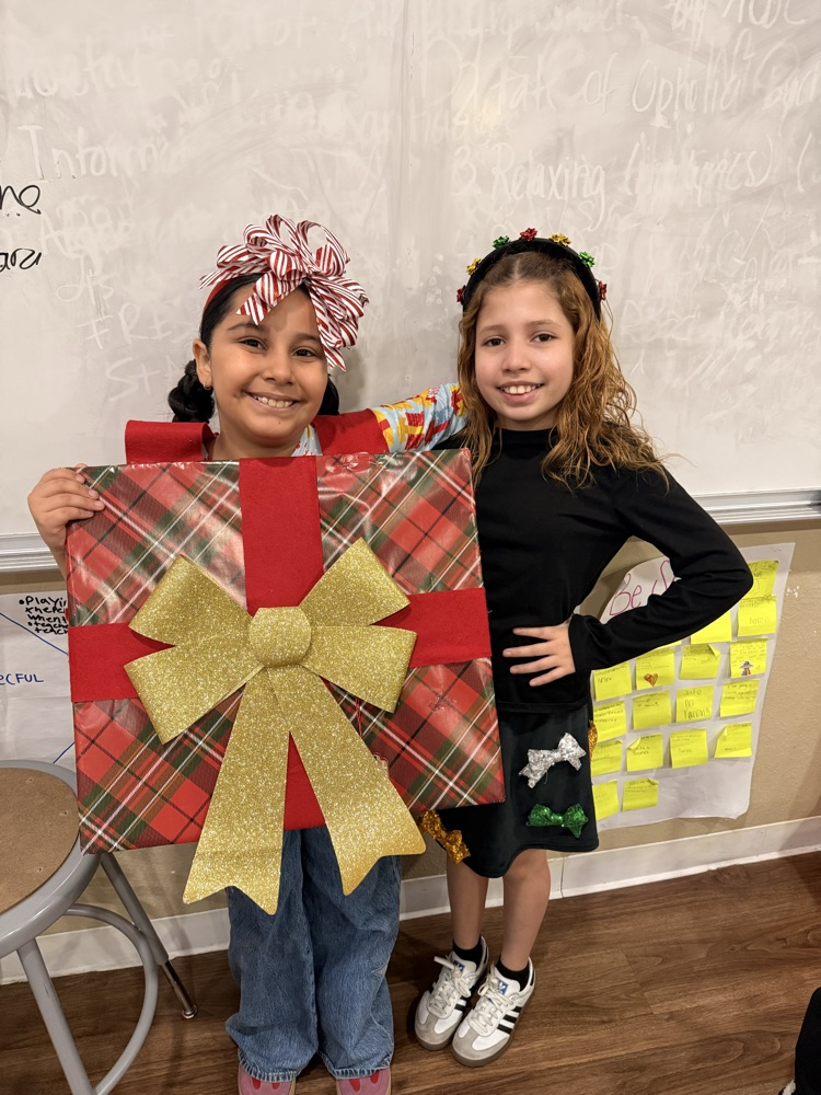 12th Day of Christmas Fun 