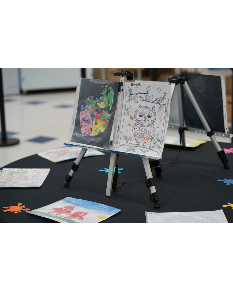 Little Picasso's Art Show