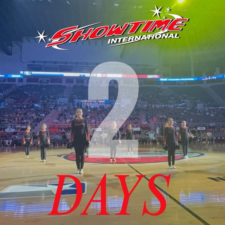 ready for competition Mini Knightettes 