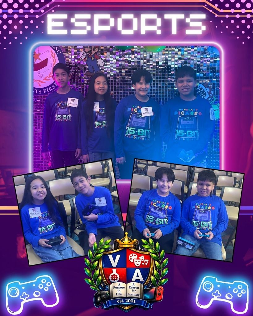 Picasso ESPORTS