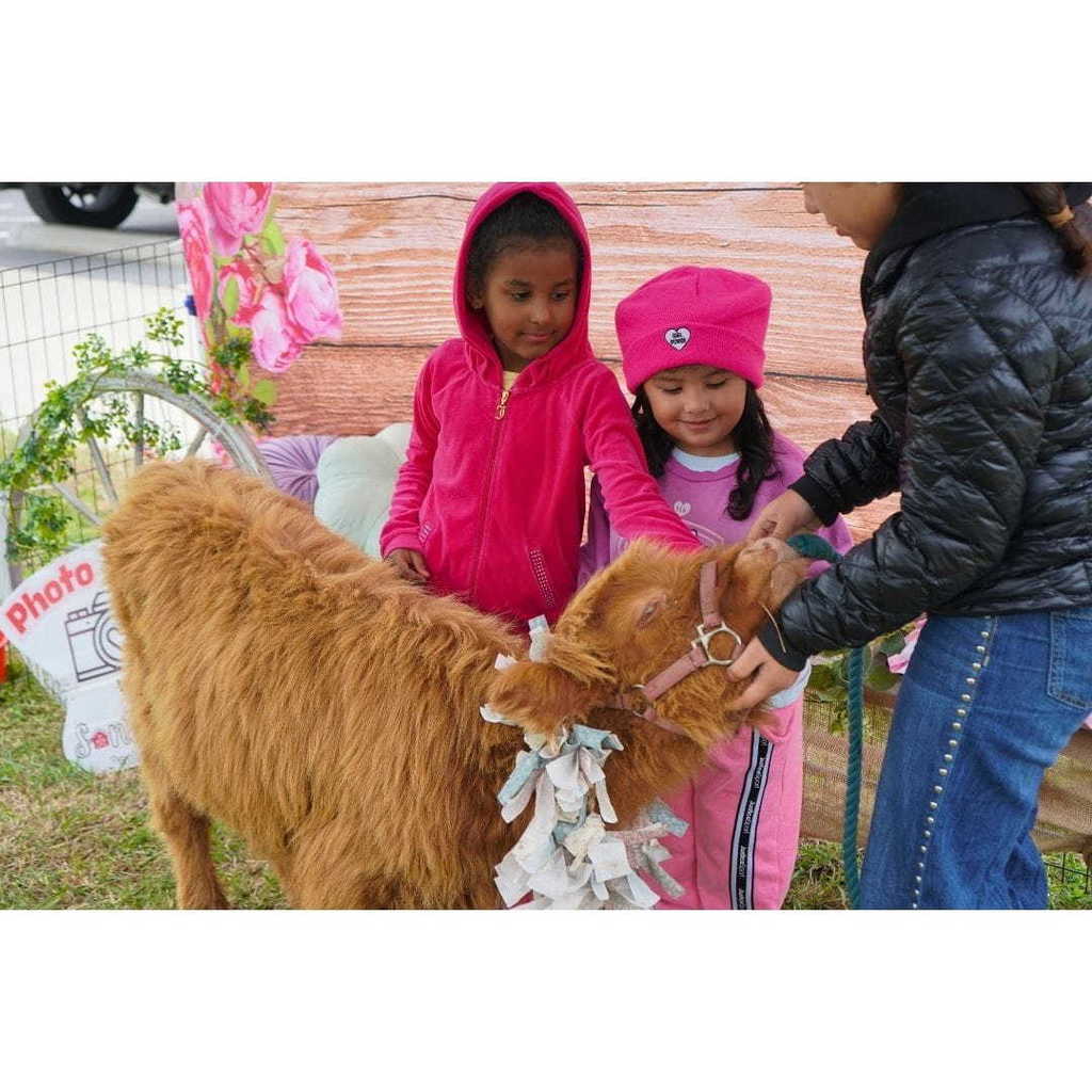 Dia Del Nino