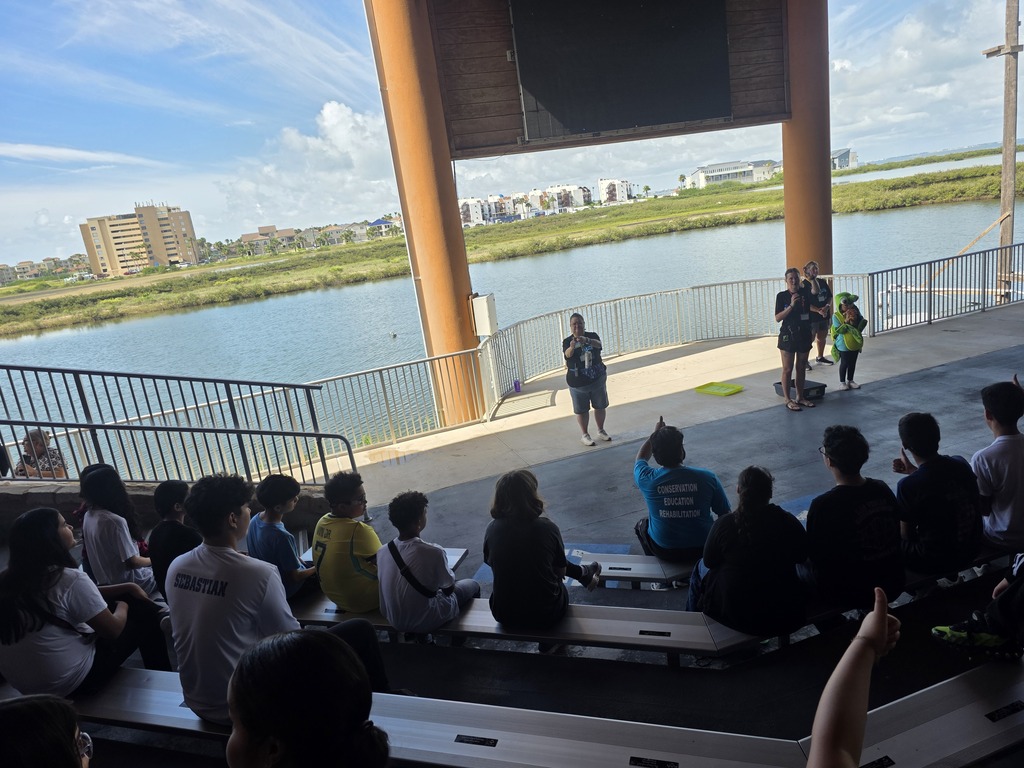 Spectators in a seating area, some standing, with a body of water and buildings in the distance.
