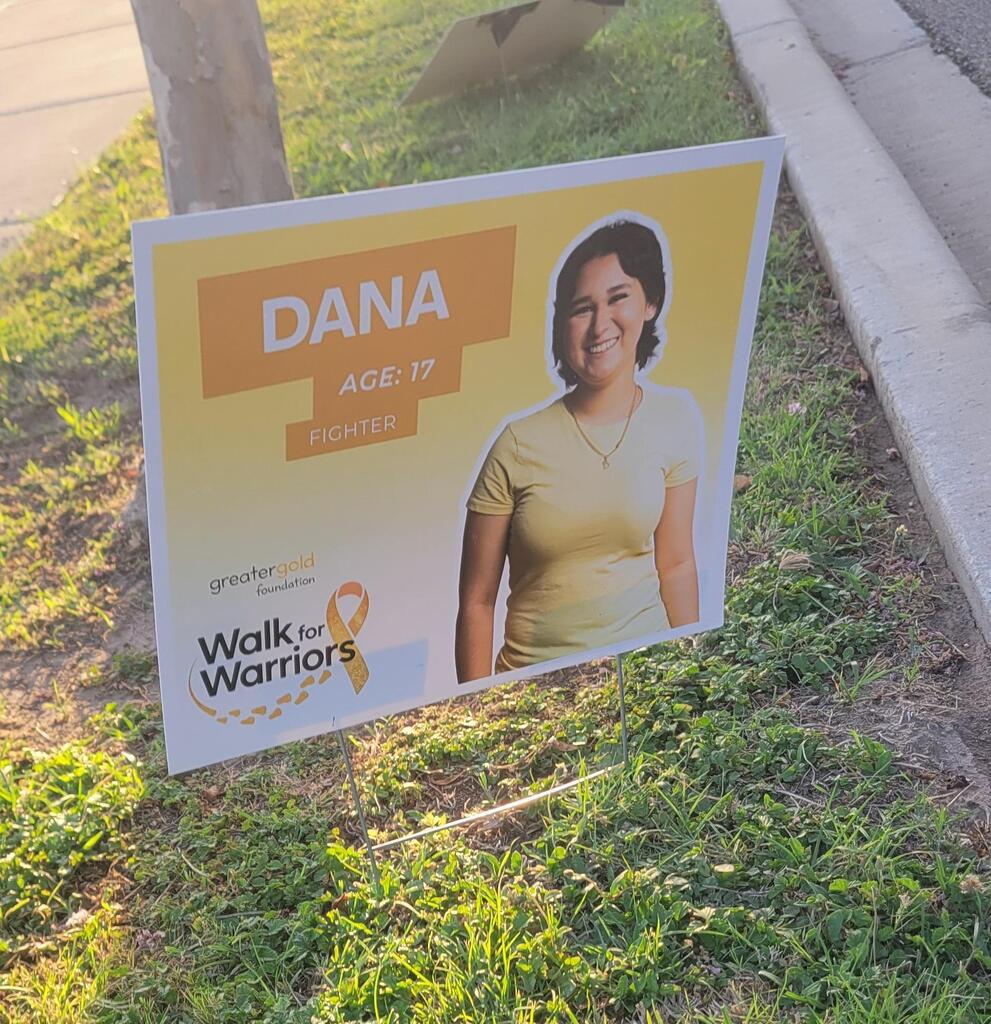 Bright sign on grassy ground. Shows a smiling woman in a yellow shirt. Text reads "Dana, age 17, fighter."
