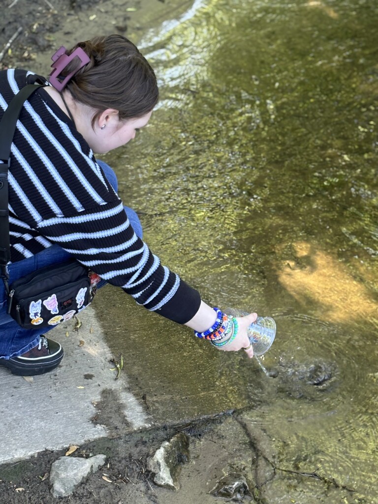 Salmon release into the Cass River, Vassar