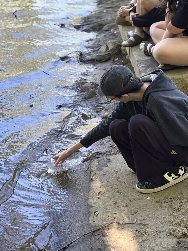 Salmon release into the Cass River, Vassar