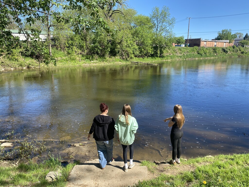 Salmon release into the Cass River, Vassar