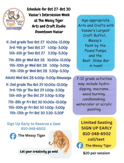 Messy Tiger Arts and Crafts Studio