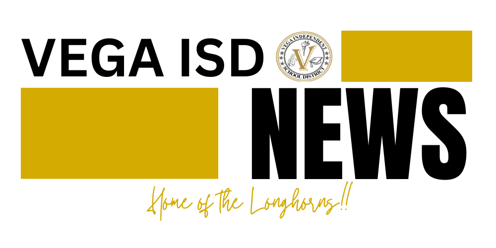 Vega Alums Participate in ESC 16 Summit 