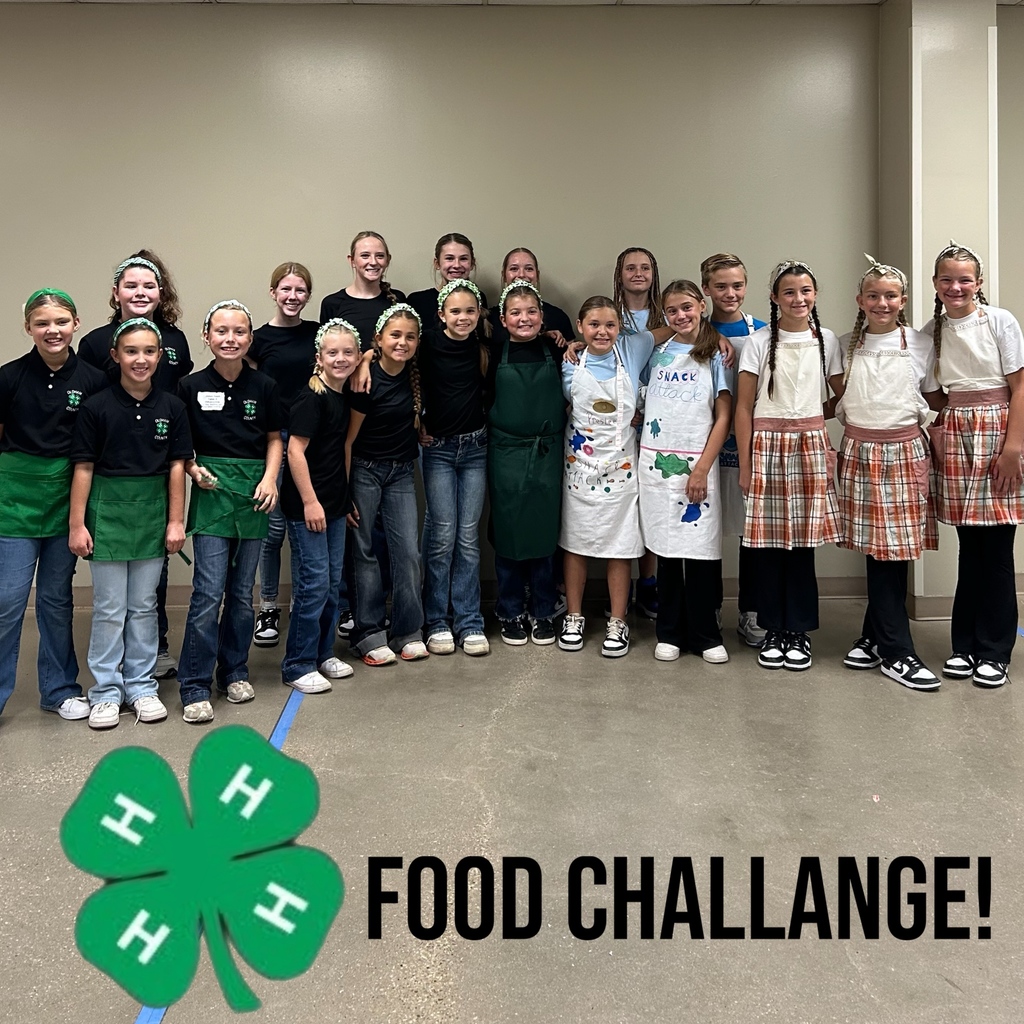 TriState Fair Food Challenge